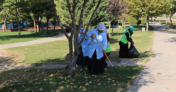 Parklarda Sonbahar Temizliği