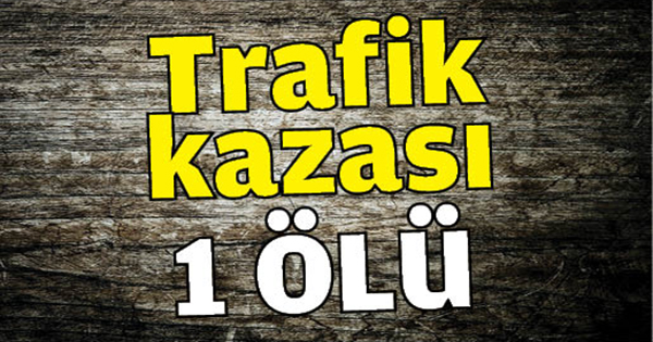 Trafik  kazası : 1 Ölü