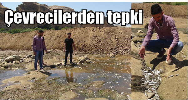 Çevrecilerden tepki