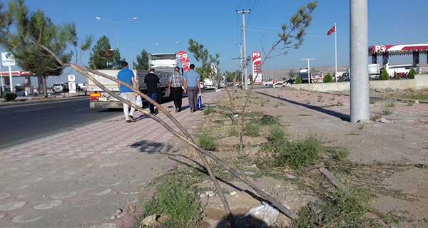 Çevreciler tepkili! Kentin girişi böyle olmamalıâ€¦