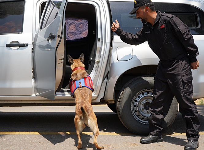 3 Köpek, 34 Uyuşturucu Olayını Çözdü!