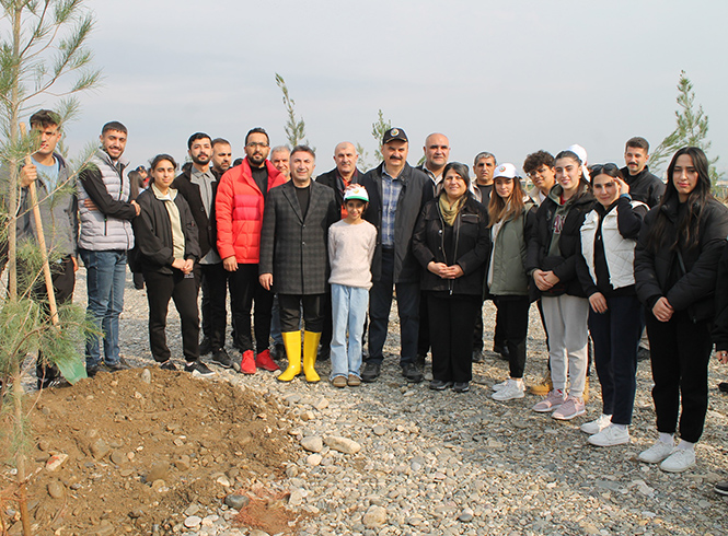 ANADOLU ÇINARI, ELDER ÇAMI TOPRAKLA BULUŞTU