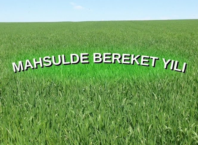 AYDİŞ: YAĞIŞLARIMIZ BU SENE İYİ