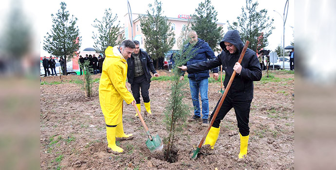 Batman Üniversitesi’nde fidan dikimi