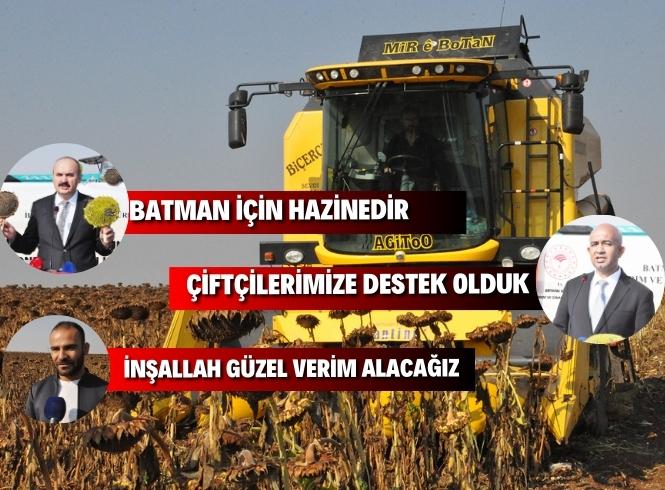 Batman'da ilk kez ayçiçeği hasadı yapıldı