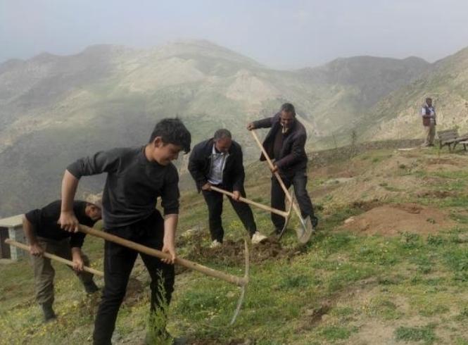 ÇATIŞMA ALANLARI MEYVE BAHÇELERİ OLDU