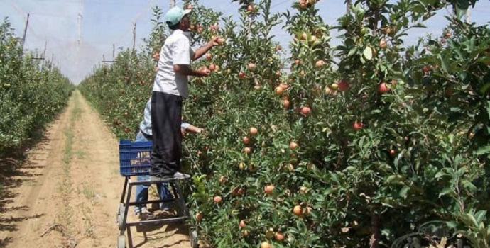 ÇİFTÇİLERE BAHÇE DESTEĞİ