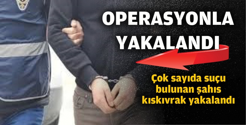 Çok sayıda suçtan aranan şahıs operasyonda yakalandı