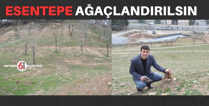 ESENTEPE AĞAÇLANDIRILSIN