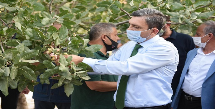 Fıstık gibi iş…