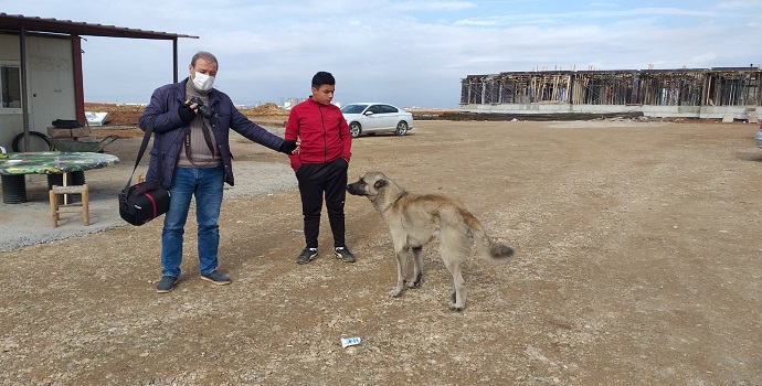 GAZETECİLER, AYAĞI KIRIK KÖPEĞE SAHİP ÇIKTI