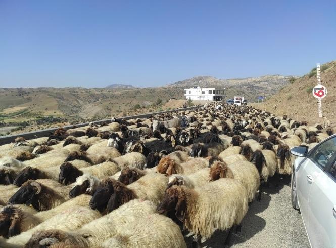 Göçerlerin yolculuğu başladı