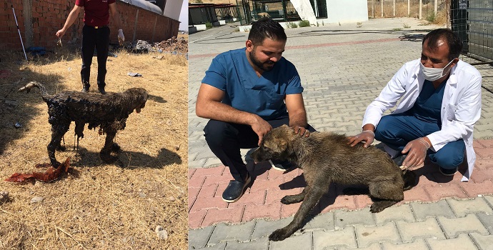 Haberimizden sonra sağlığına kavuştu