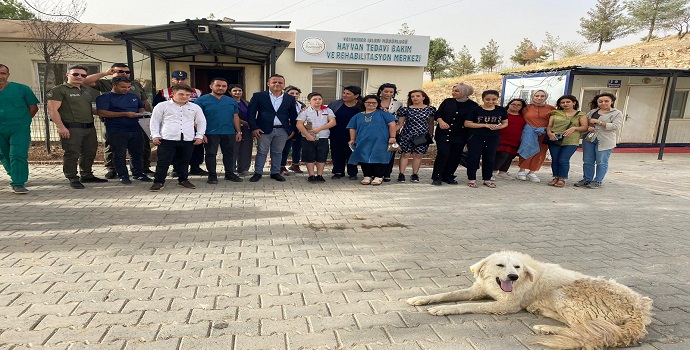 HAYVAN BAKIM ÇALIŞMASI SÜRÜYOR