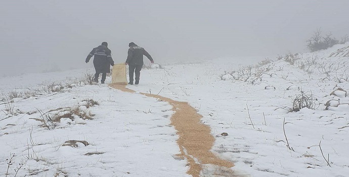 ‘Hayvanlar aç kalmasın’ mücadelesi