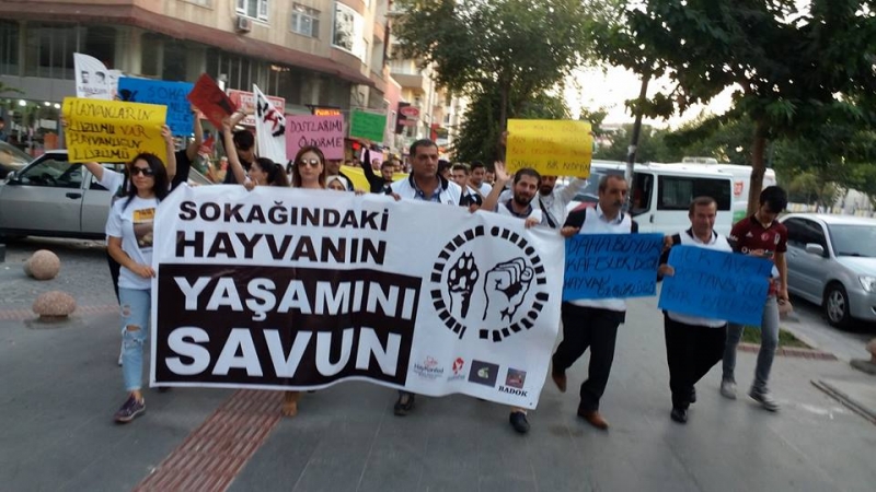 “HAYVANLARIN HAKKI KUTSALDIR”