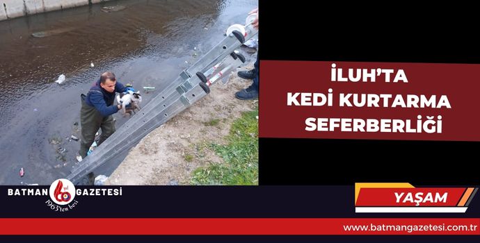 İLUH’TA KEDİ KURTARMA SEFERBERLİĞİ