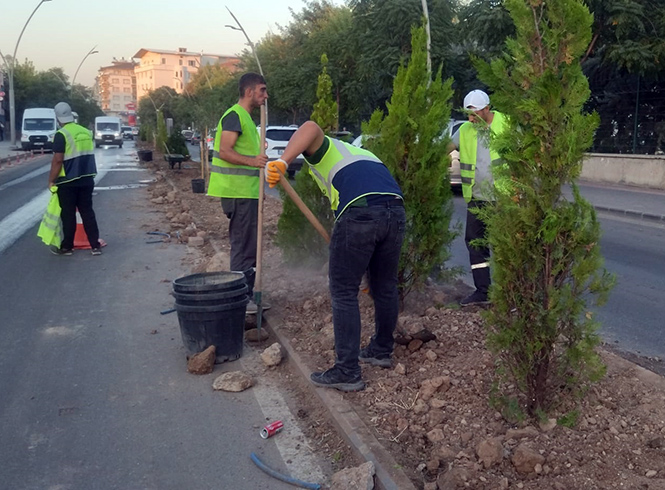 İstasyon Caddesi'nde Kalıcı Ağaçlandırma