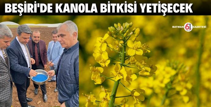 KANOLA BİTKİSİ DENEMESİ BAŞARILI OLDU