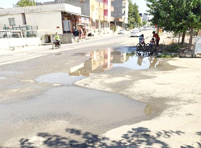 KÖTÜ KOKU CADDEYİ SARDI