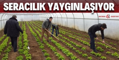 10 BİN 800 M2 SERA YAPILACAK