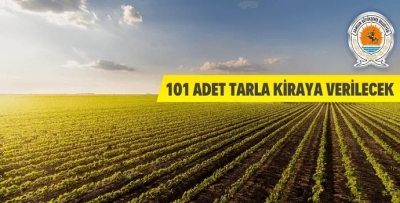 101 ADET TARLA KİRAYA VERİLECEK