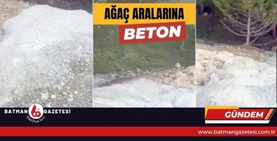 AĞAÇ ARALARINA BETON