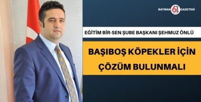 BAŞIBOŞ KÖPEKLER İÇİN ÇÖZÜM BULUNMALI