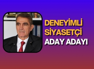 Bedrettin Demir, aday adayı