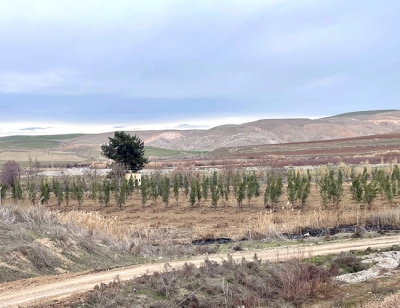 BEŞİRİ’NİN ÇEHRESİ DEĞİŞİYOR