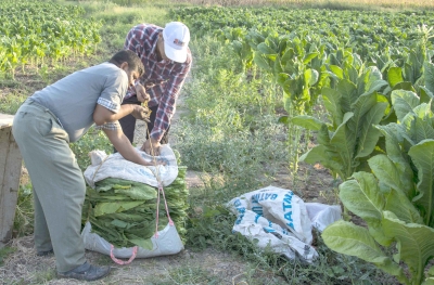 BİR ZAMANLAR EKMEK KAPISIYDI