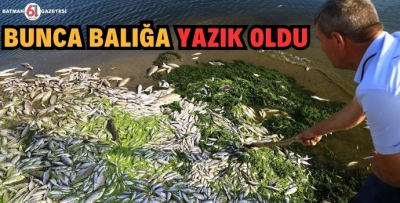 BUNCA BALIĞA YAZIK OLDU