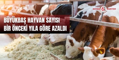 BÜYÜKBAŞ HAYVAN SAYISI BİR ÖNCEKİ YILA GÖRE AZALDI