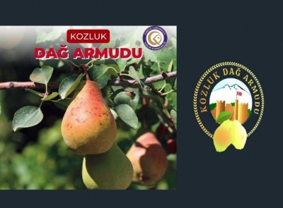 DAĞ ARMUDU YAYGINLAŞTIRILACAK