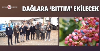 DAĞLARA ‘BITTIM’ EKİLECEK