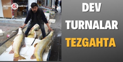 DEV TURNALAR TEZGAHLARI SÜSLEDİ