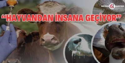 DİKKAT... HAYVANDAN İNSANA GEÇİYOR