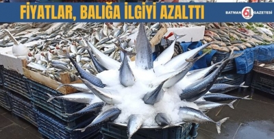 FİYATLAR, BALIĞA İLGİYİ AZALTTI