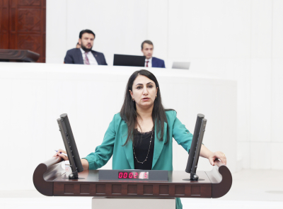 Gençlere Uygulanan Polis Şiddeti Meclis'e Taşındı