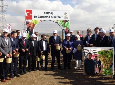 Gercüş’te bağ bozumu ve gastronomi festivali