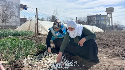 BAŞKAN AKSOY, ÇİFTÇİ KADINLARI ZİYARET ETTİ