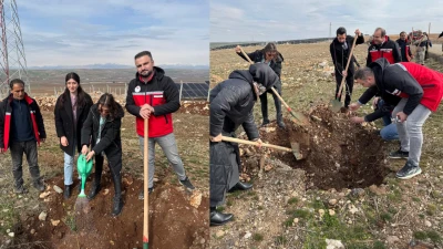 ASMADERE VE ILICA'DA DOĞAYA KATKI