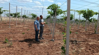 GAP İDARESİ’NDEN BATMANLI ÇİFTÇİLERE DESTEK