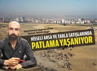 HİSSELİ ARSA VE TARLA SATIŞLARINDA  PATLAMA YAŞANIYOR