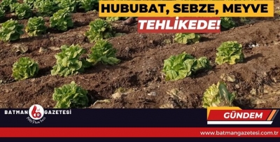 HUBUBAT, SEBZE, MEYVE TEHLİKEDE!