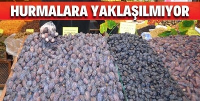 HURMALARA YAKLAŞILMIYOR