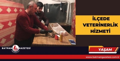 İLÇEDE VETERİNERLİK HİZMETİ