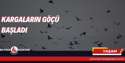 KARGALARIN GÖÇÜ BAŞLADI