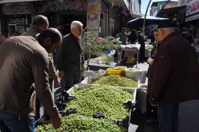 KIRMA YEŞİL ZEYTİN TEZGÂHLARDAKİ YERİNİ ALDI