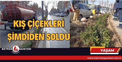 KIŞ ÇİÇEKLERİ ŞİMDİDEN SOLDU